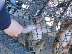 -长白岛森林公园