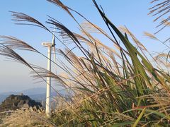 -东白山