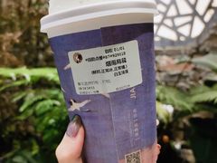 -茶理宜世(东方宝泰店)