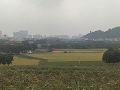 -光明小镇欢乐田园