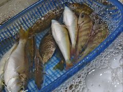 -贵州路便民市场