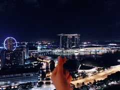 -新加坡瑞士史丹福酒店