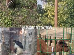 -南昌动物园
