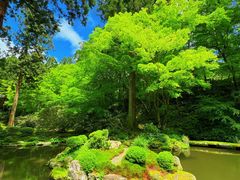 -三千院