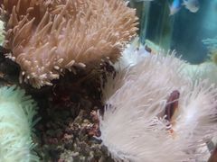 -太平洋海底世界