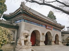 -白云观