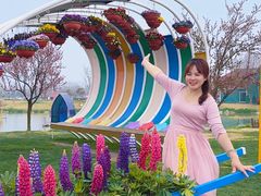 -荷兰花海