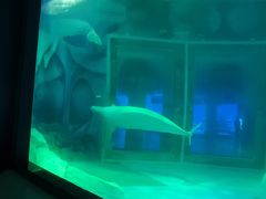 -上海海昌海洋公园-冰山北极馆