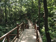 -大岭沟猕猴桃谷风景区