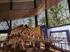 -湖南省地质博物馆