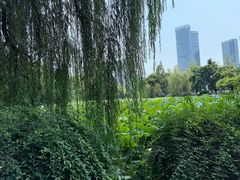 -西南交通大学(九里校区)