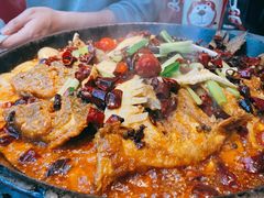 老板恋上鱼-老板恋上鱼(恒隆广场店)