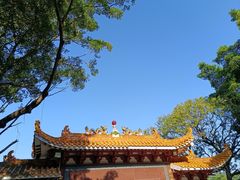 -深圳仙湖植物园