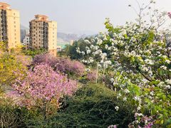 -小南山公园