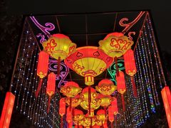 -武汉园博园(武汉自然博物馆)