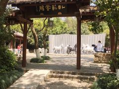 -白马涧龙池景区