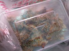-老王豆皮