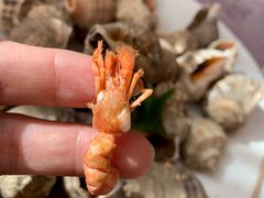 -宾朋海鲜特色美食餐厅·纯手工鲅鱼水饺(兴海路店)