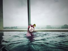 泳池-上海浦东康桥绿地假日酒店