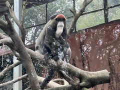 -宁波野生动物园