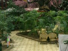 -新世纪绿洲(抚顺店)