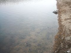 -南京市无想山景区