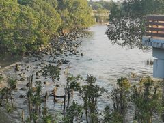 -宝安西湾红树林湿地公园