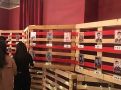 -爱丽丝冒险奇遇记