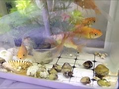 -燕晗山郊野公园