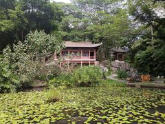 -深圳国际园林花卉博览园