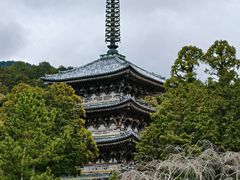 -醍醐寺
