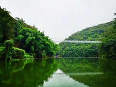 -桂山风景旅游区