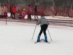 -济南国际园博园