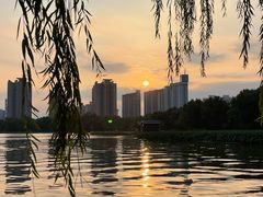 -莲花池公园