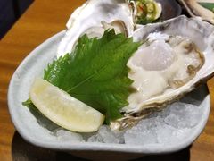 生蚝刺身-和彩放题餐厅(酒仙桥店)