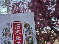 -苏顺成纯绿豆饼(天山大街店)