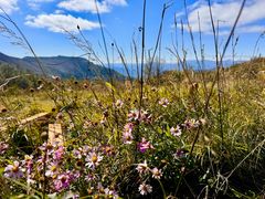 -白草畔自然风景区