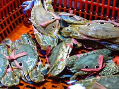 -巽寮印象美食部落餐厅·海鲜·地方特色菜(惠州体验店)