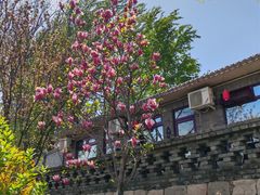 -北京凤凰岭