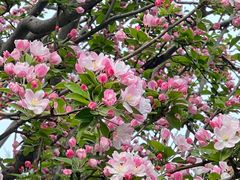 -元大都城垣遗址公园