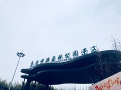 门面-黄海国家森林公园