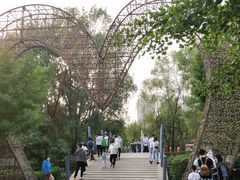 -长白岛森林公园