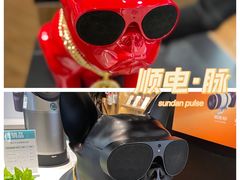 -sundanpulse顺电·脉(海岸城购物中心店)