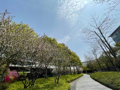 -CUBIC3三立方咖啡(凌空SOHO店)