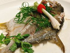 -金苑海鲜酒家(来魅力店)