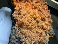 -湖南省地质博物馆