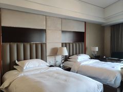 -杭州温德姆至尊豪廷大酒店
