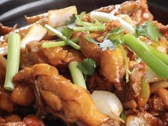 -陶缘一号·四季缘·老字号顺德菜·户外婚礼家宴(西滘店)