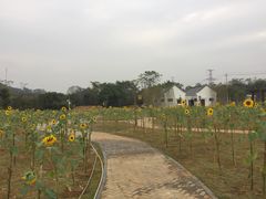 -南宁花花大世界景区