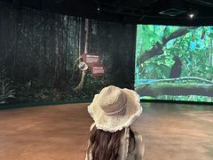 -新加坡飞禽公园